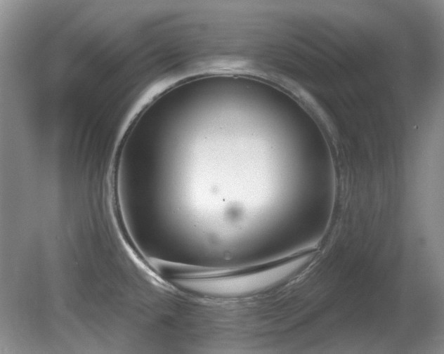 X0000080131432200612081218