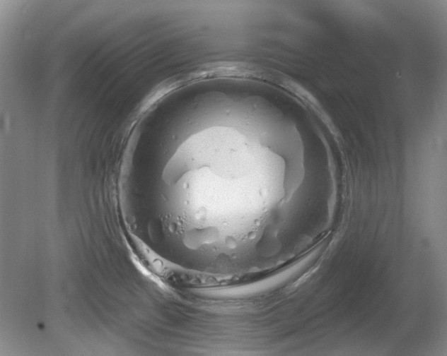 X0000080131433200612081218