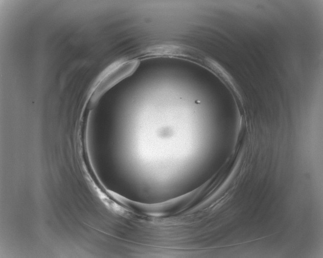 X0000080131434200612081218