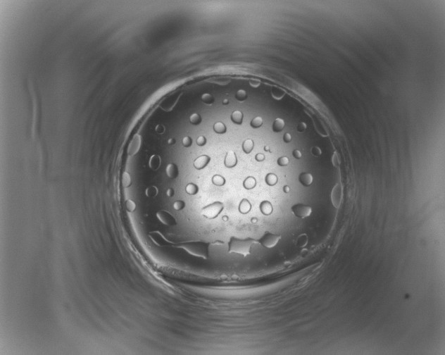 X0000080131436200612081218