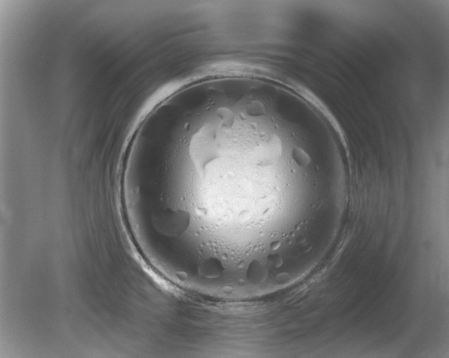 X0000080131437200612081218