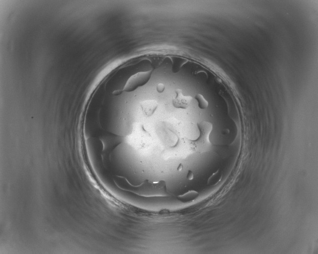 X0000080131440200612081218