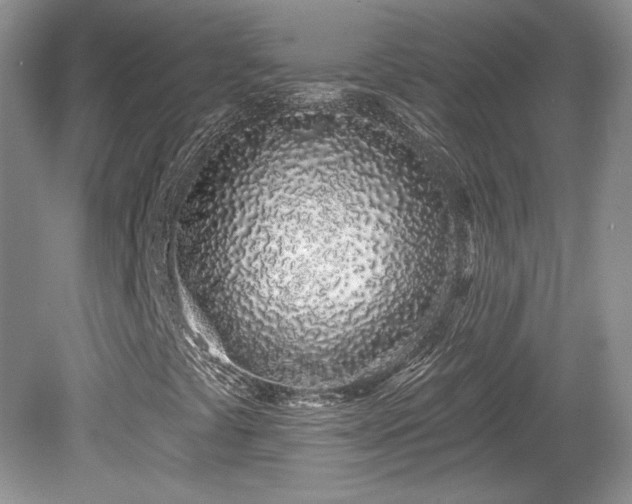 X0000080131441200612081218