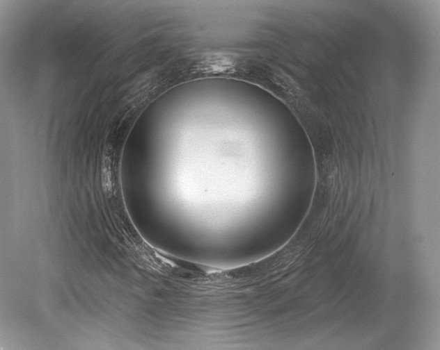 X0000080131442200612081218