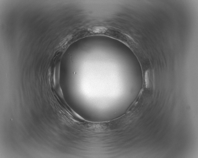 X0000080131443200612081218