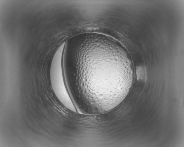 X0000080131444200612081218