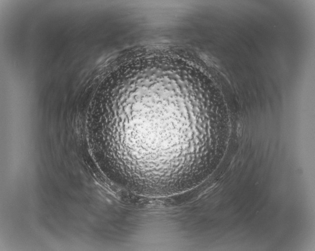 X0000080131445200612081218