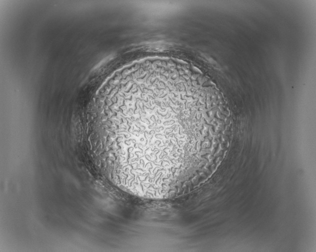 X0000080131446200612081218