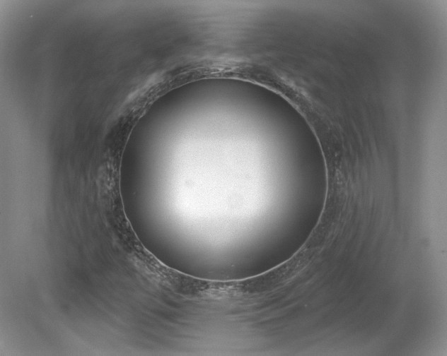 X0000080131447200612081218