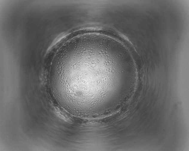 X0000080131448200612081218