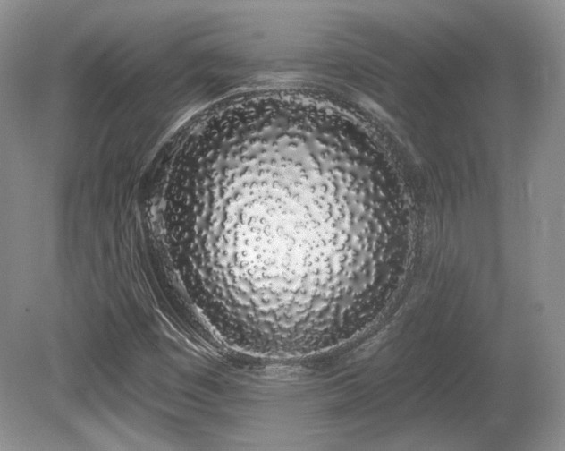 X0000080131449200612081218