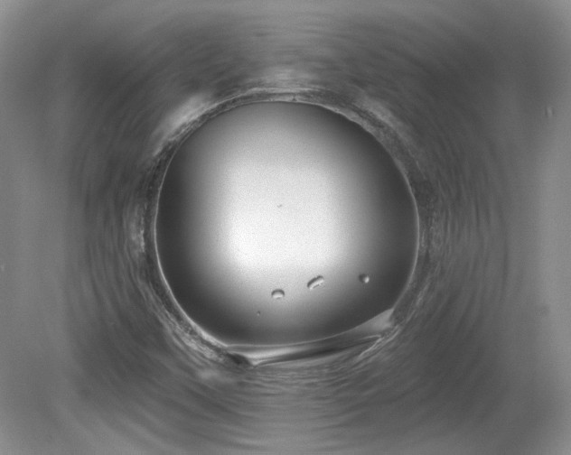 X0000080131451200612081217