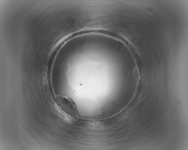 X0000080131452200612081217
