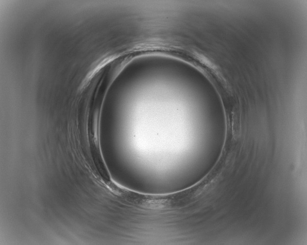 X0000080131453200612081217