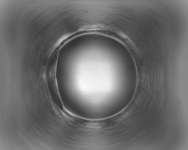 X0000080131457200612081217