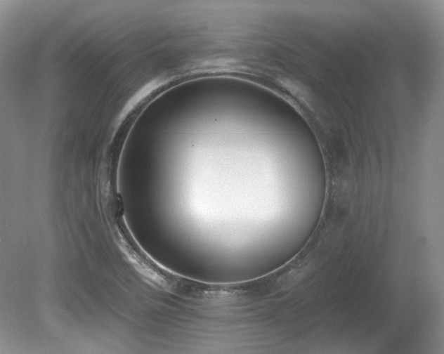 X0000080131458200612081217