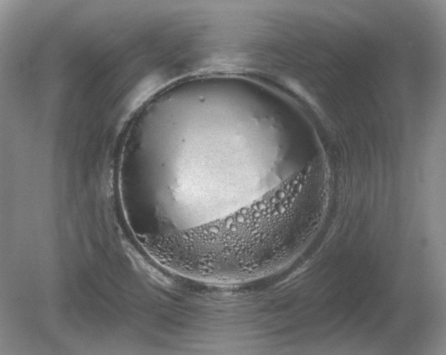 X0000080131459200612081217