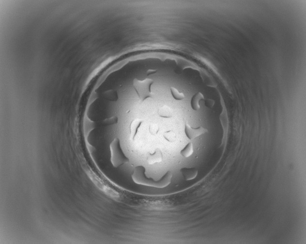 X0000080131460200612081217