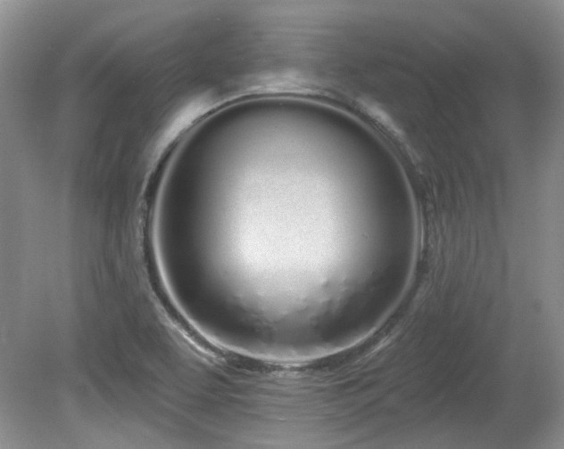 X0000080131463200612081217