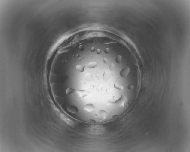X0000080131464200612081217