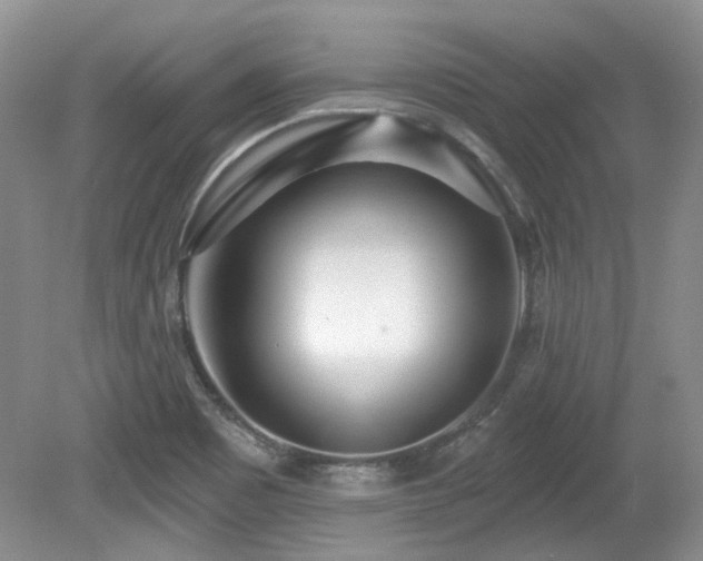 X0000080131465200612081217