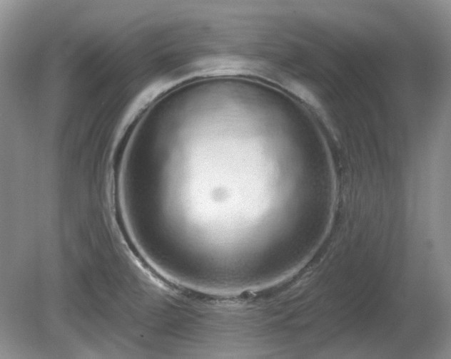 X0000080131472200612081217