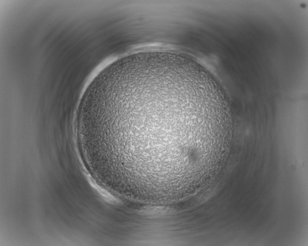 X0000080131474200612081217