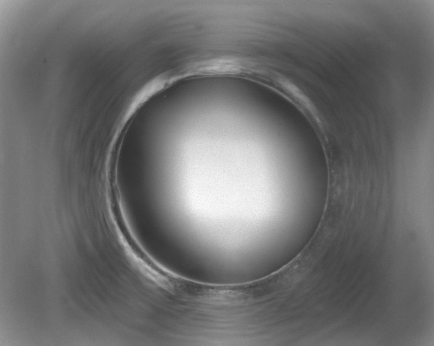 X0000080131475200612081217