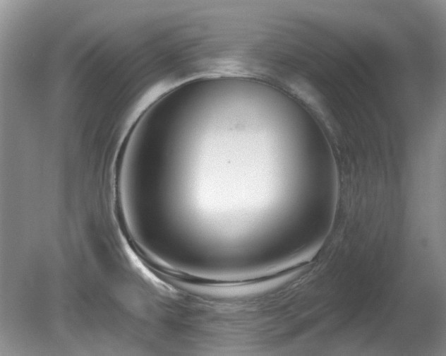 X0000080131479200612081217