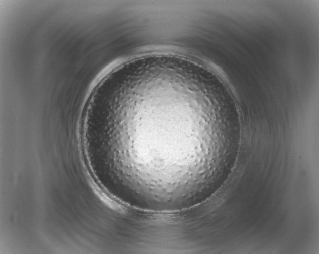 X0000080131482200612081217