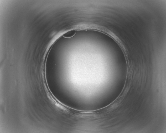 X0000080131486200612081217