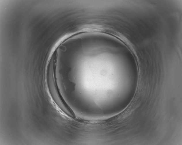 X0000080131488200612081217