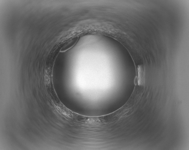 X0000080131491200612081216