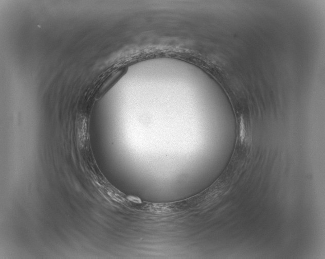 X0000080131492200612081216