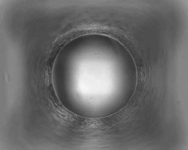 X0000080131493200612081216