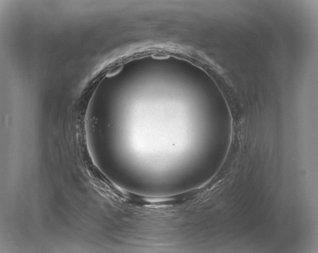 X0000080131496200612081216