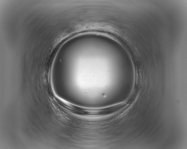 X0000080131497200612081216