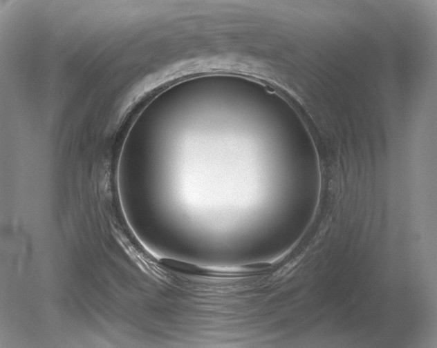 X0000080131499200612081216