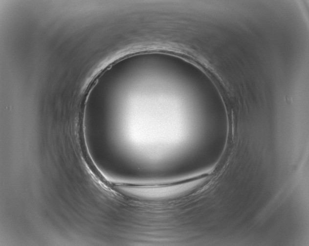 X0000080131500200612081216