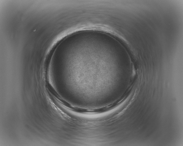 X0000080131506200612081216