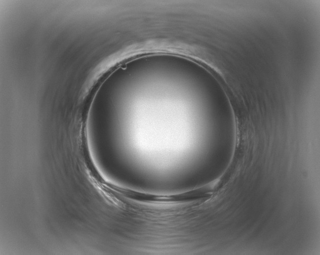 X0000080131507200612081216
