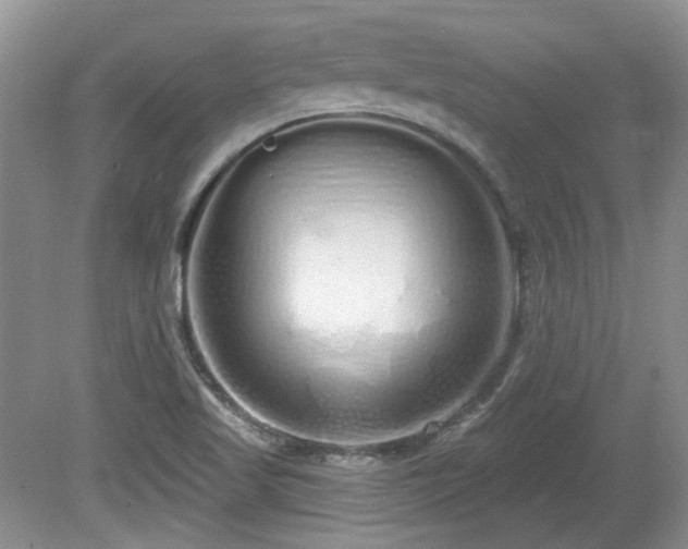 X0000080131509200612081216