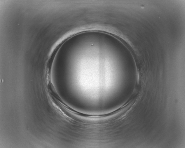 X0000080131510200612081216