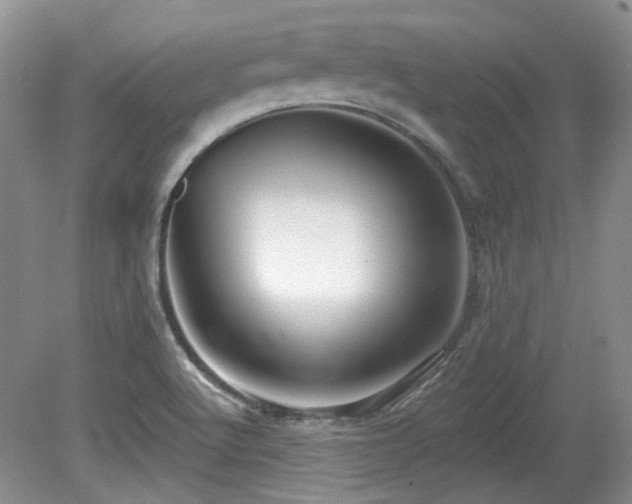 X0000080131512200612081216
