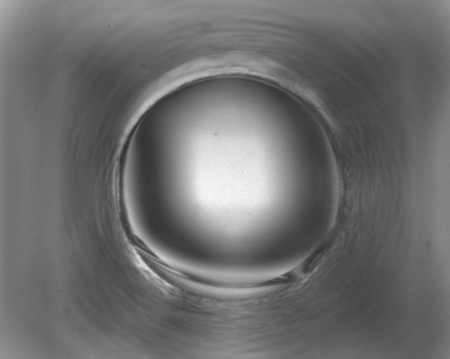 X0000080131516200612081217