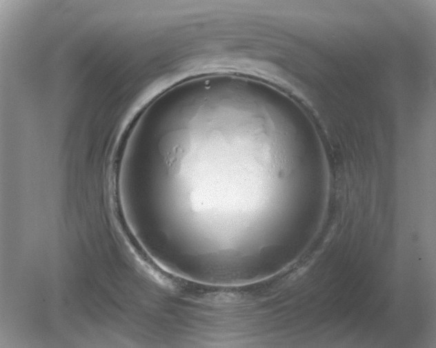 X0000080131517200612081217