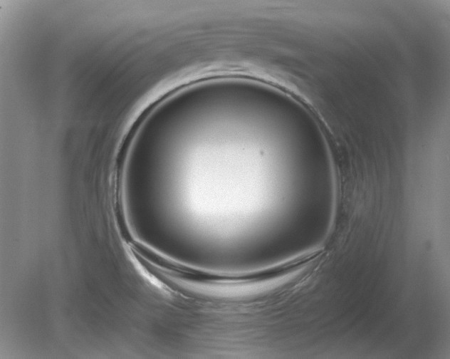 X0000080131519200612081217