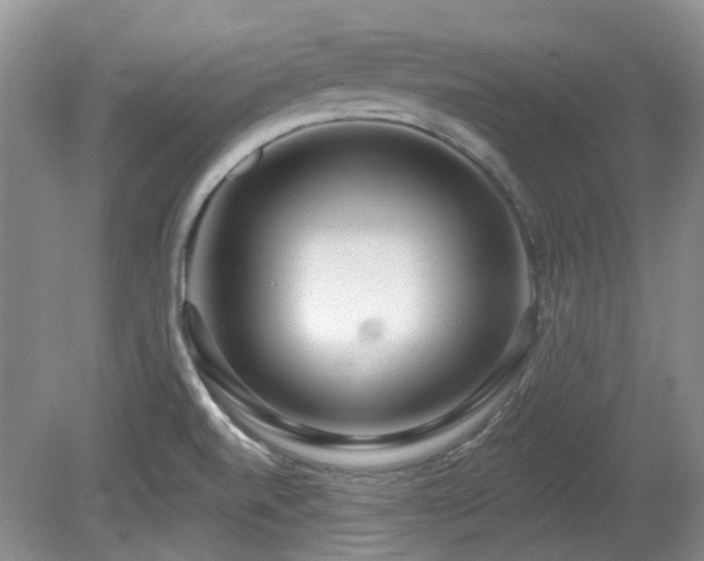 X0000080131520200612081217