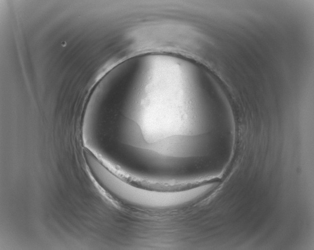 X0000080131521200612081217