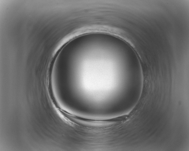 X0000080131523200612081217